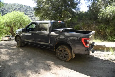 DSC_5927 (Large).JPG